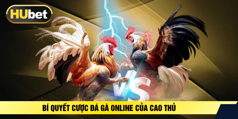 Bí quyết cược đá gà online của cao thủ