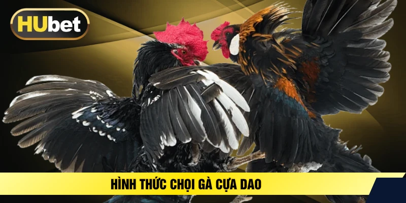 Hình thức chọi gà cựa dao