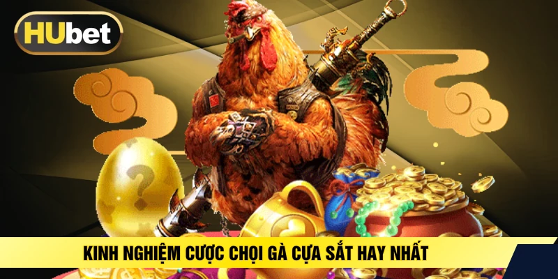 Kinh nghiệm cược chọi gà cựa sắt hay nhất