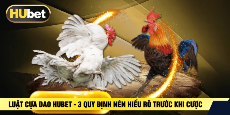 Luật Cựa Dao HUBET - 3 Quy Định Nên Hiểu Rõ Trước Khi Cược