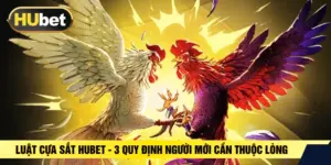 Luật Cựa Sắt HUBET - 3 Quy Định Người Mới Cần Thuộc Lòng