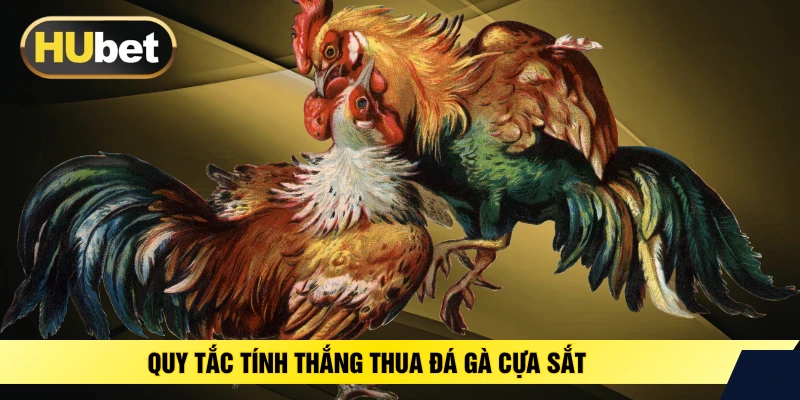 Quy tắc tính thắng thua đá gà cựa dao